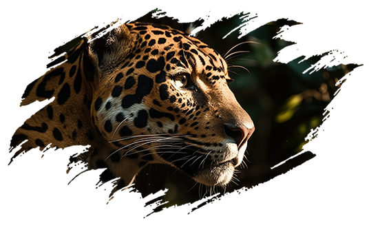 Imagen decorativa de fondo de un jaguar en representación de la naturaleza y de terrenos en puerto morelos